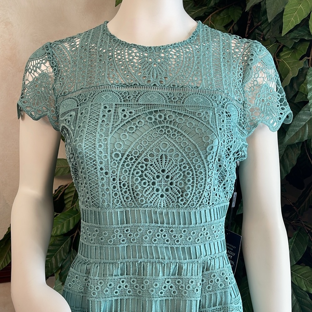 WHBM EMBROIDERED LACE FIT & FLARE DRESS - Picture 8 of 13
